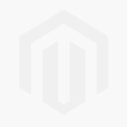 Einführung in künstliche Intelligenz – online